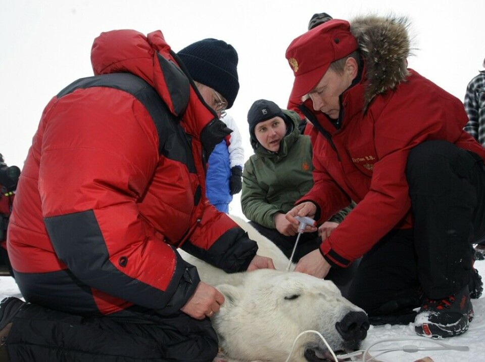 Vladimir Putin on visit to Franz Josef Land in 2011. Photo: Kremlin.ru