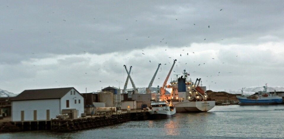 Transport vessels in Sommarøy, Norway. Photo: Trude Pettersen