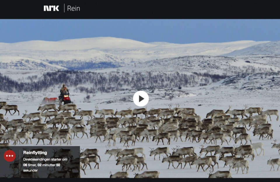 Viewers outside Norway can follow the 24/7 live broadcast on web.