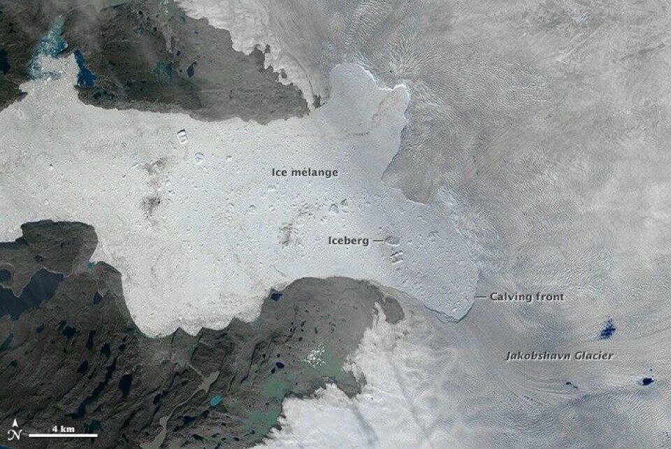 Jakobshavn—Greenland’s fastest-moving glacier—is notorious for ice losses. NASA Earth Observatory images by Joshua Stevens.
