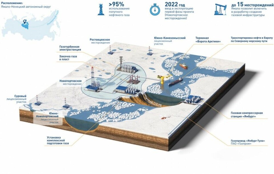 The Novy Port oil field and out-shipment terminal Arctic Gate. Illustration by Gazprom Neft