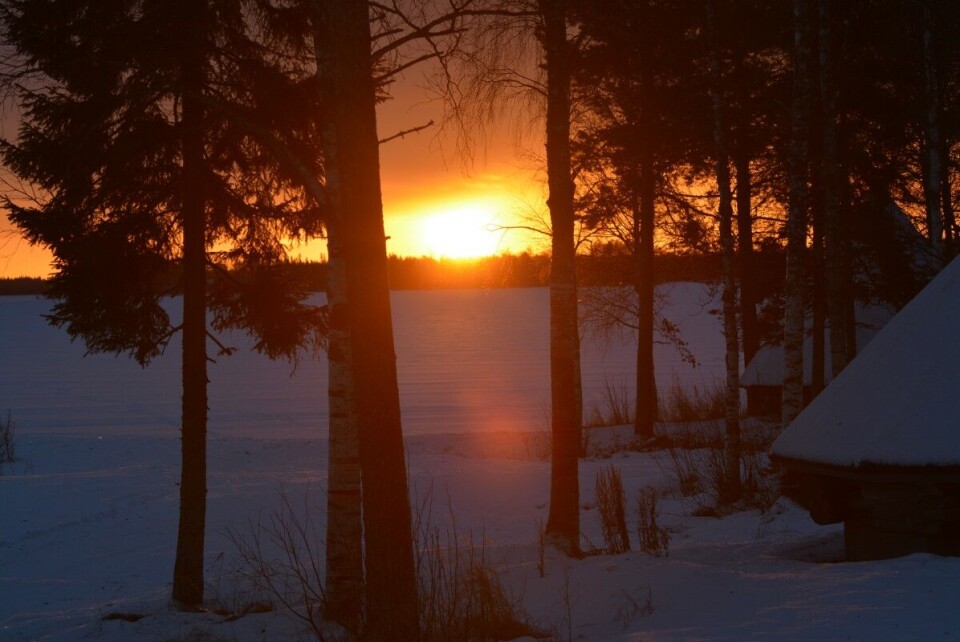 Winter in Finnish Lapland. Photo: Thomas Nilsen