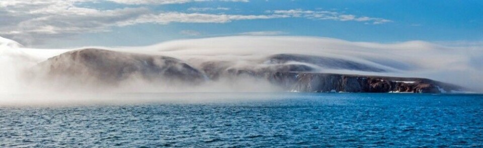 The Wrangel Island: Photo: ostrovwrangelya.org