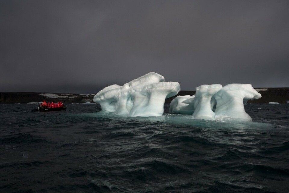 No signs of the Perlamutrovy island, researchers say. Photo: Ministry of Natural Resources