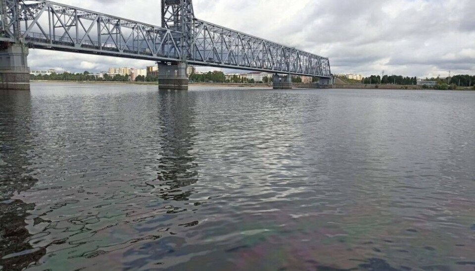 Fuel spill in the Northern Dvina river in Arkhangelsk. Photo: Rosprirodnadzor
