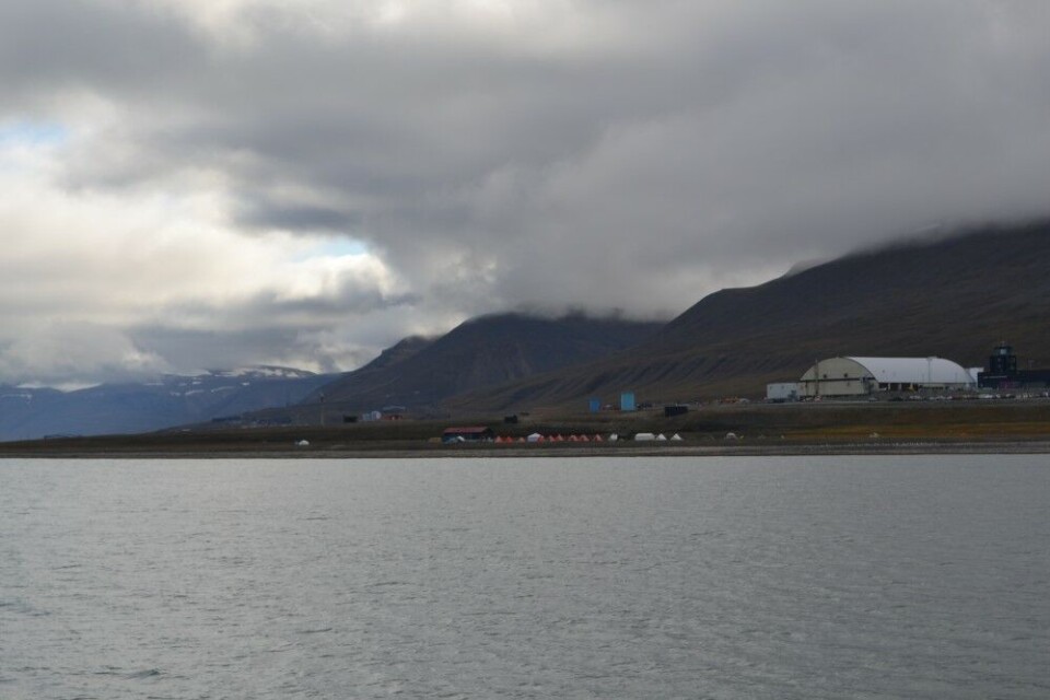 Longyearbyen camping by the shores of Adventfjorden and with the airport in the background. Photo: Markku Heikkilä
