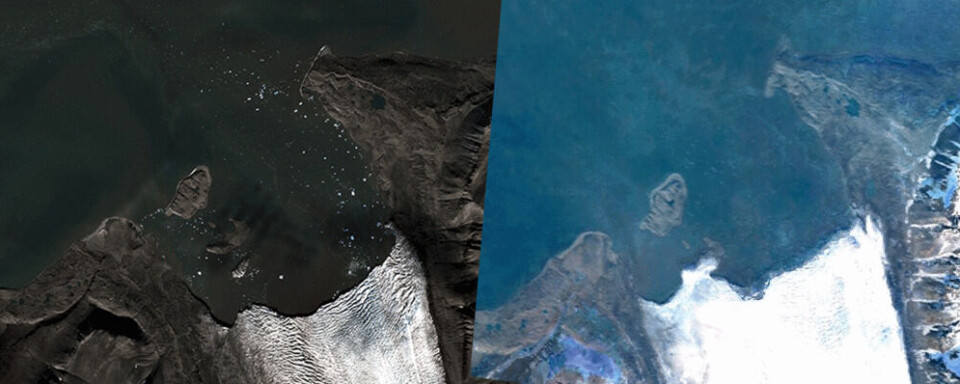 The Northern Fleet’s 2020 satellite image (left) compared with the Google Earth image a few years back show the new islands appearing in the Vilkitsky Bay on the Barents Sea coast of Novaya Zemlya. Image collage by The Barents Observer (Northern Fleet / Google Earth)