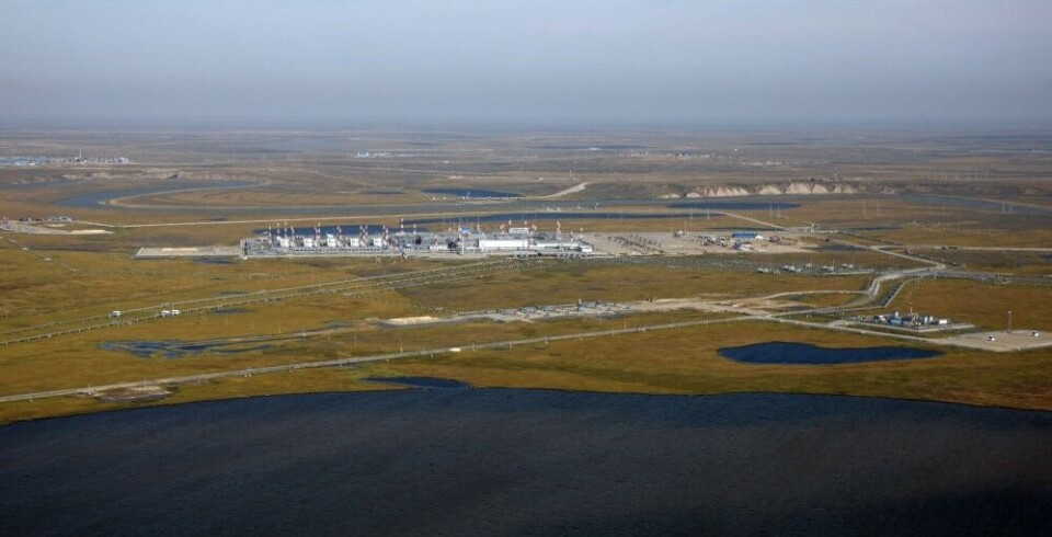The Yamal Peninsula. Photo: Gazprom.ru