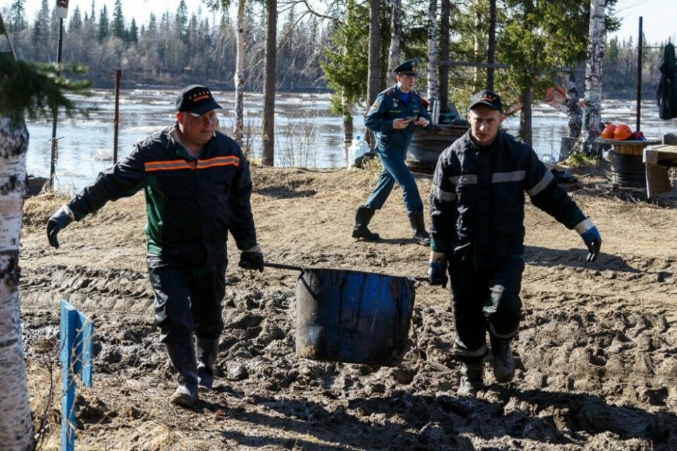 Photo: rkomi.ru