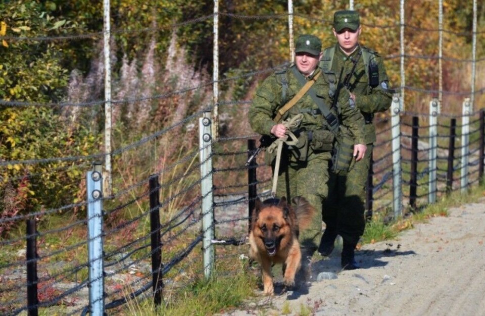Russia has its own barbed wire fence all along the 196 kilometres long border to Norway in the north. Photo: Thomas Nilsen