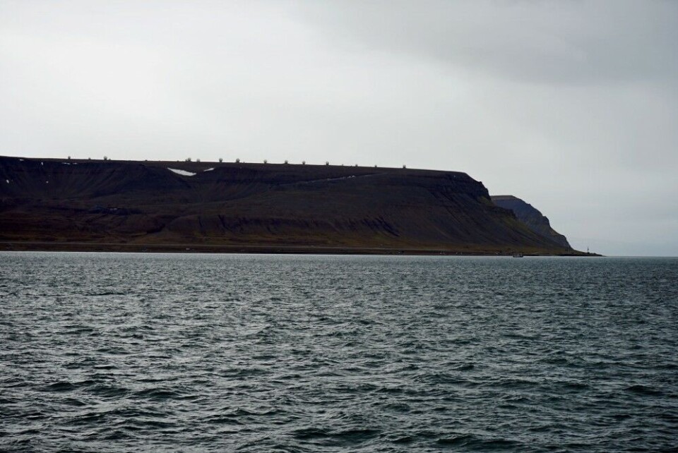 14 of the 100 antennas here on the mountain plateau above Longyearbyen at Svalbard are aimed at receiving signals from OneWeb's satellites. Photo: Thomas Nilsen
