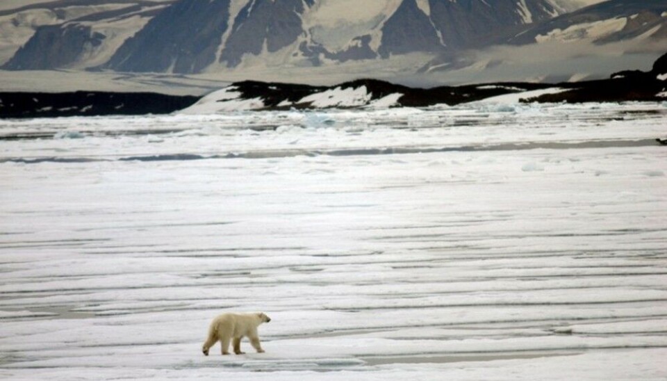Arctic sea-ice. Photo: Thomas Nilsen