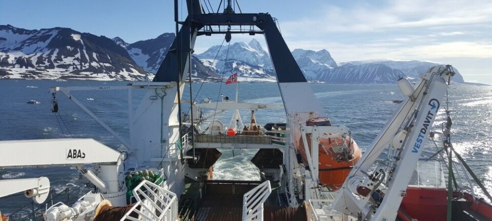 Torskekvoter senket seg for fjerde år på rad