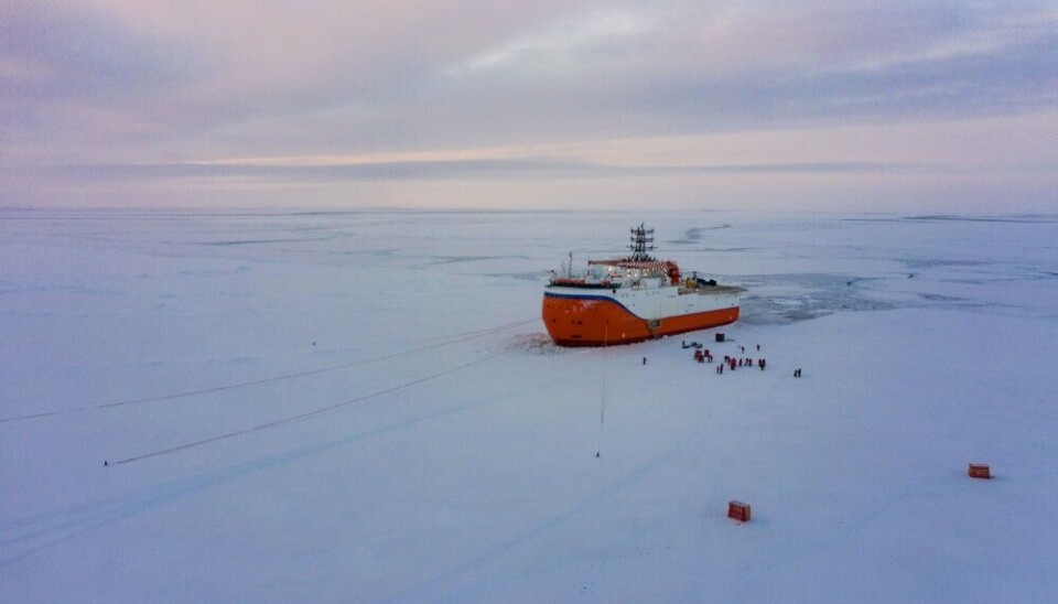 The 'Severny Polyus' is capable of drifting autonomously for up to two years in thick Arctic sea-ice. Photo: aari.ru