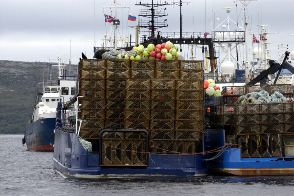 Russian King Crab vessels in the Norwegian port of Kirkenes. Photo: Thomas Nilsen