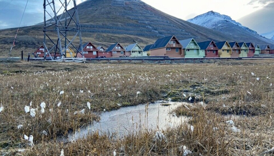 Winter and frost came early to Longyearbyen this September. Photo: Thomas Nilsen