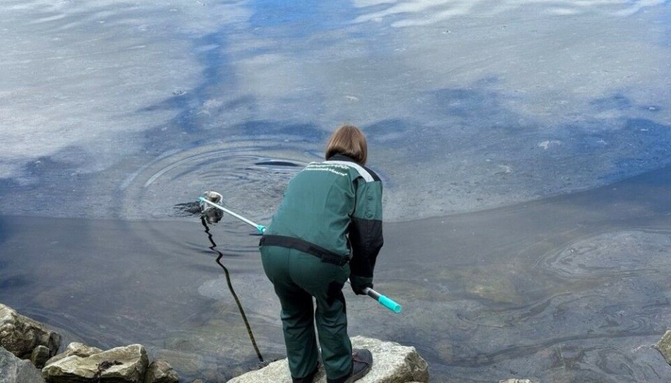 Representatives of the Russian environmental watchdog testing the waters of the Tuloma River that flows into the Barents Sea. Photo: Rosprirodnadzor Vkontakte
