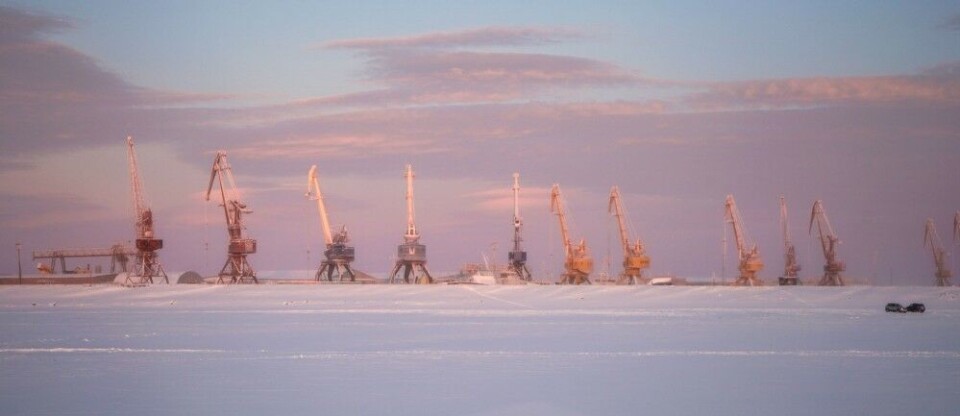 Cranes on the Ob River. Photo: Atle Staalesen