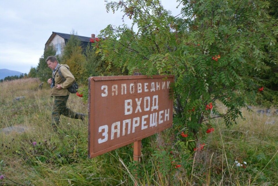 Southern shores of the Kola Peninsula. Photo: Thomas Nilsen