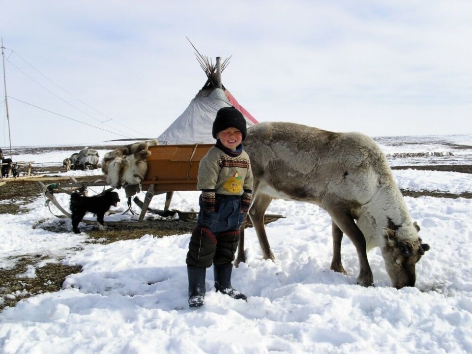 Ненецкий мальичик со своим оленем. Фото: Томас Нильсен