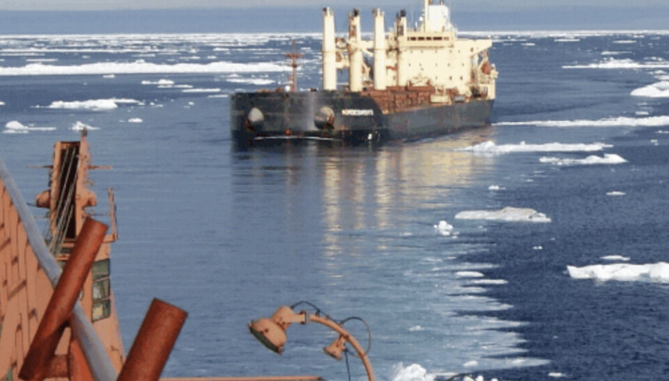The 'Nordic Barents' became the first bulk carrier to transit the Northern Sea Route, sailing non-stop from Kirkenes in Norway to Lianyungang in China. Photo: Tschudi Shipping