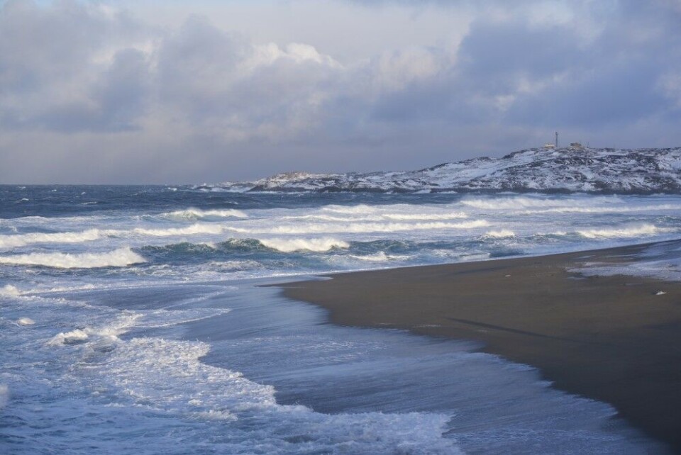 Migrants wanted to make it from Murmansk to Norway by sea, Russian security services say. Here from Grense Jakobselv - where Norway borders Russia by the coast of the Barents Sea. Photo: Thomas Nilsen
