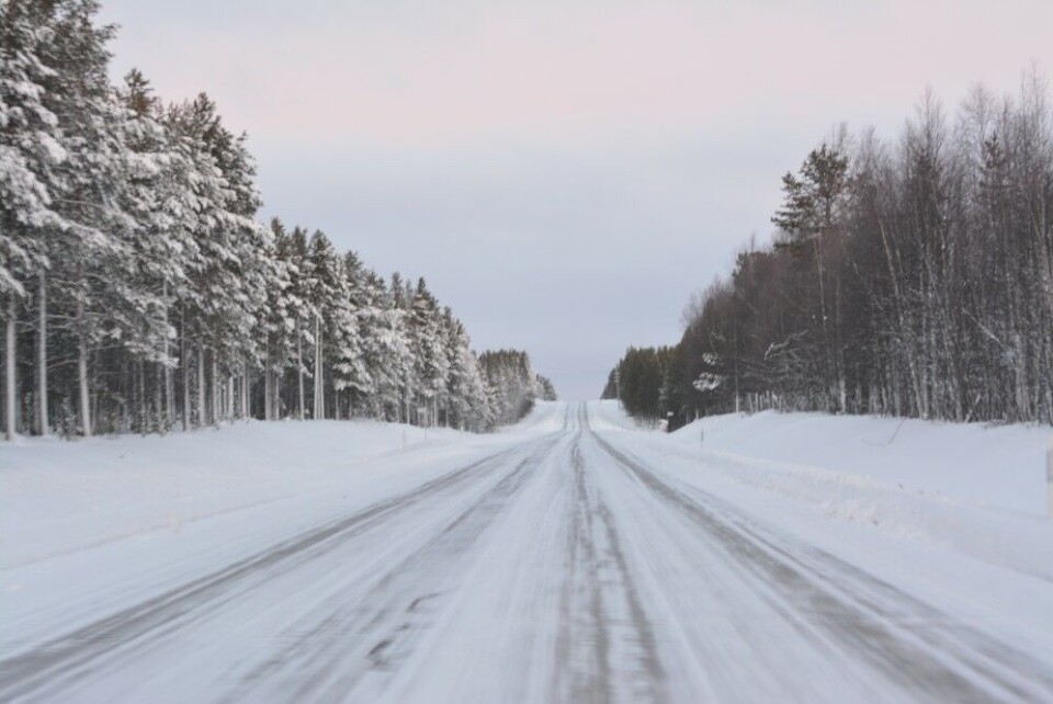 The road from Kandalaksha towards the border to Finland is going through some of the most remote areas of taiga forest on the Kola Peninsula. Photo: Thomas Nilsen