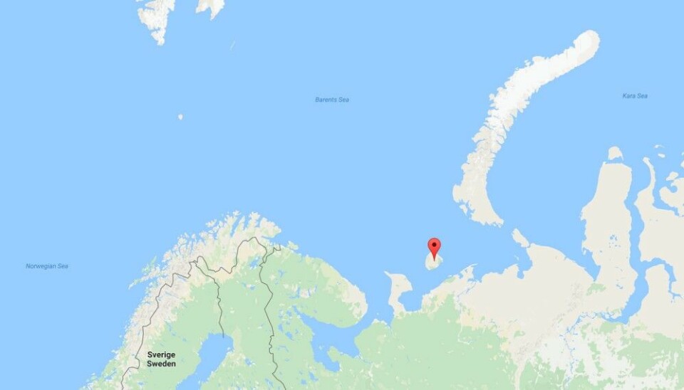 The island of Kolguyev.