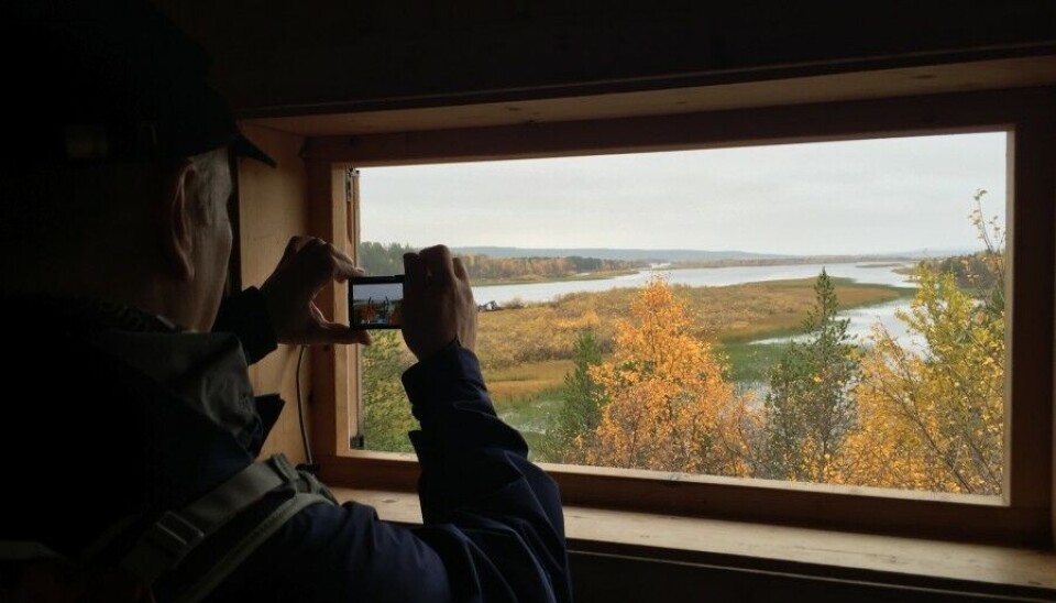 Pasvik Nature Reserve. Photo: Atle Staalesen