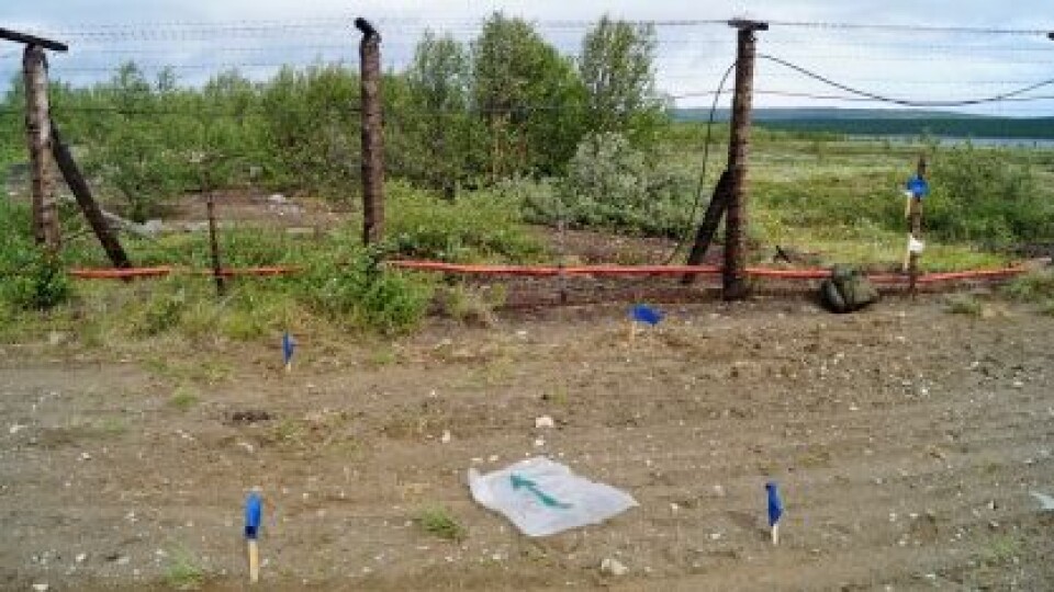 This is where the fence was cut. Photo: СУ СК РФ по Мурманской области