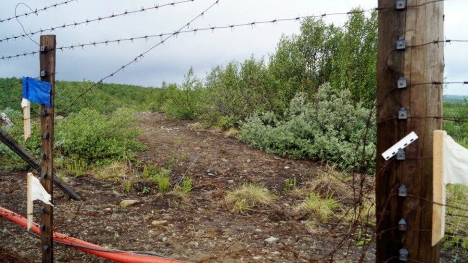 Фото: СУ СК РФ по Мурманской области