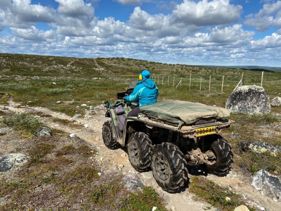 The border fence between Finland and Norway near Kautokeino. Photo: Thomas Nilsen