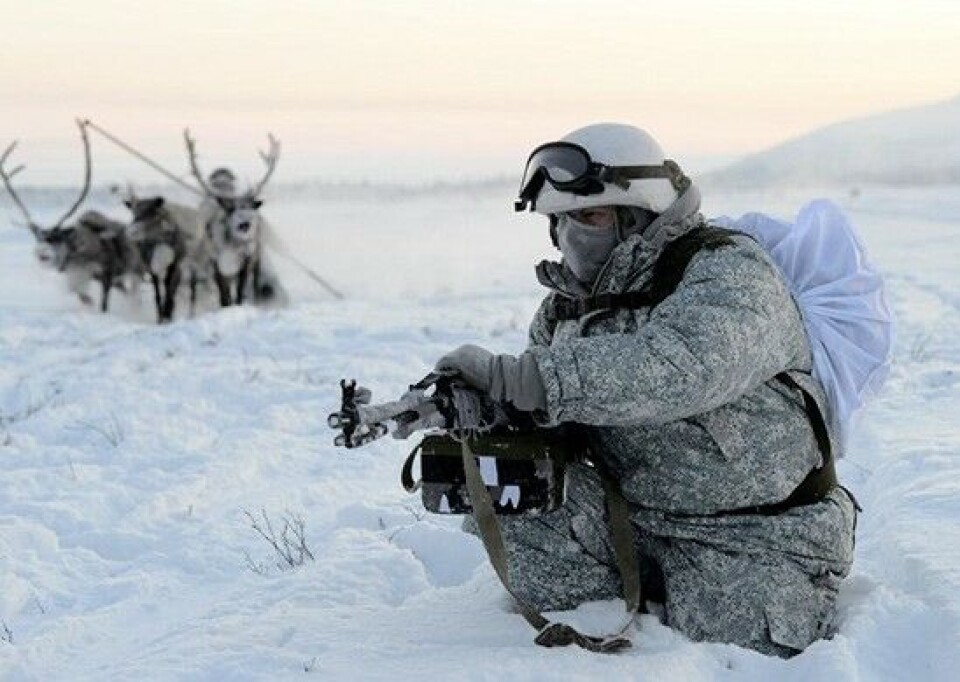 Northern Fleet soldiers learning to ride with reindeer and huskies. Photo: Mil.ru