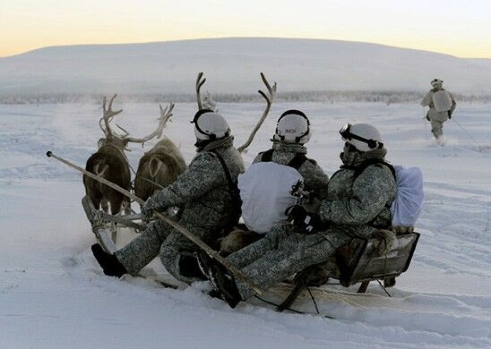 Northern Fleet soldiers learning to ride with reindeer and huskies. Photo: Mil.ru