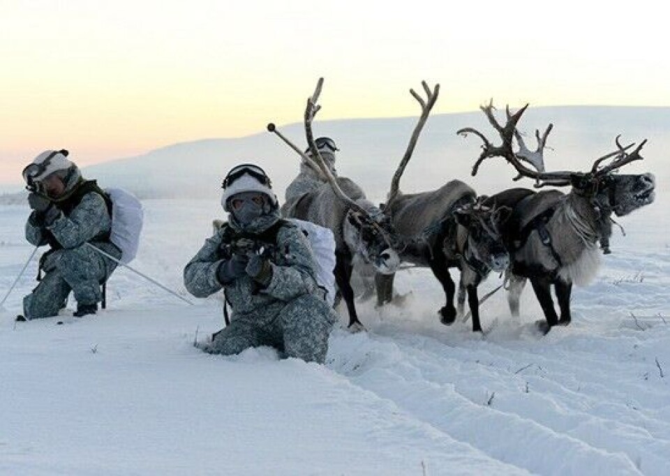 Northern Fleet soldiers learning to ride with reindeer and huskies. Photo: Mil.ru