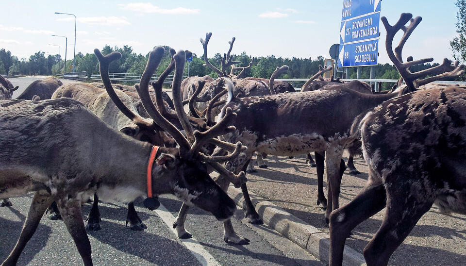 No passport control along the road from Norway to northern Finland, a route popular among Russians. Photo: Thomas Nilsen