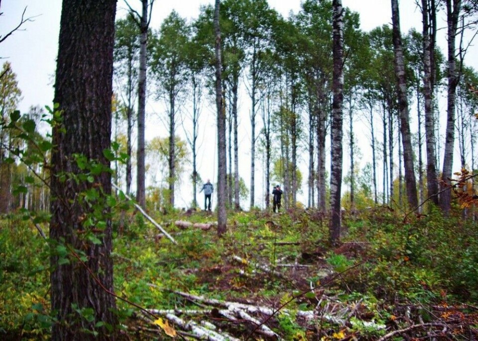 Forest protection organization SPOK under attack by FSB. Photo: Spok-karelia.ru