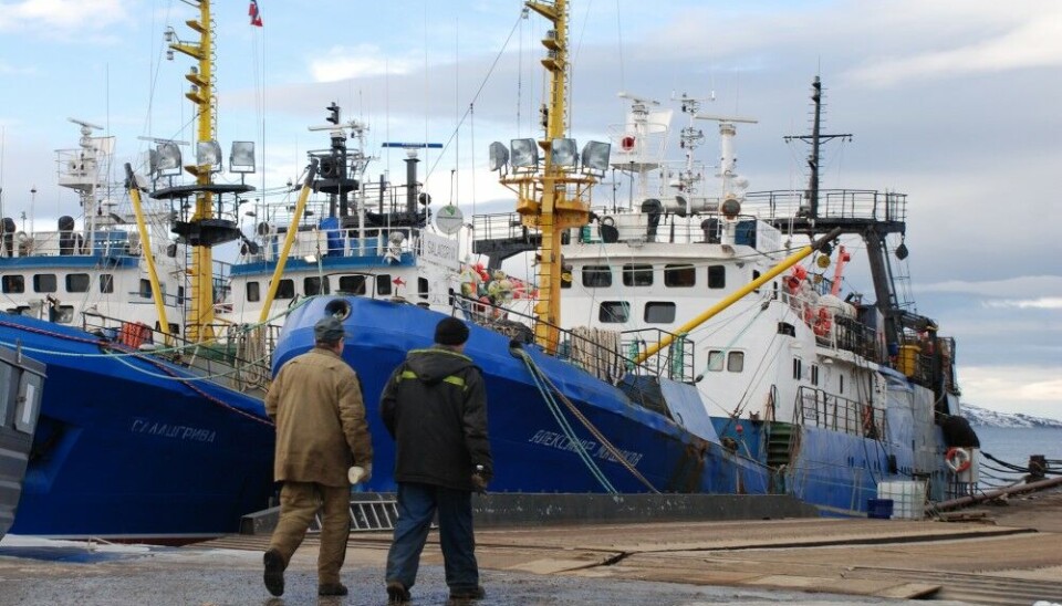 Russian fishing vessels at port in Kirkenes. Crew members can walk freely and are seldom checked when embarking the vessels. Photo: Atle Staalesen