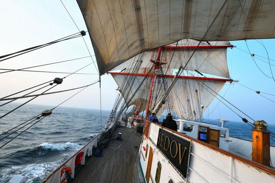 The Sedov sails in ice-free Arctic waters. Photo: bgarf.ru
