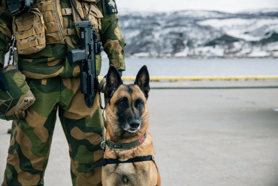 Tønsnes port is a civilian municipal port in Tromsø with military guards during the visit of the American nuclear-powered submarine. Photo: Helene Sofie Thorkildsen/Forsvaret