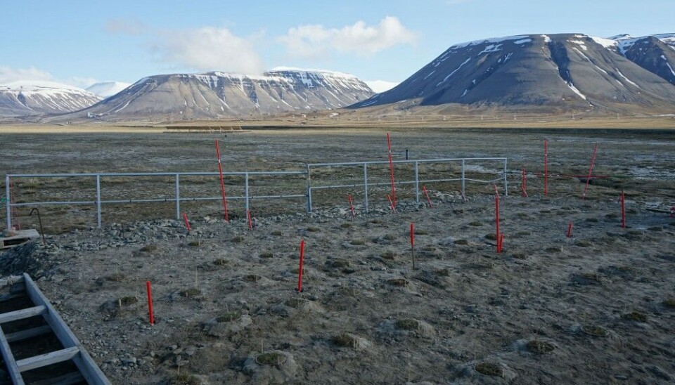 Norwegian researchers have placed monitoring equipment down into the permafrost to see changes over the years here at Svalbard, Norwegian Arctic.