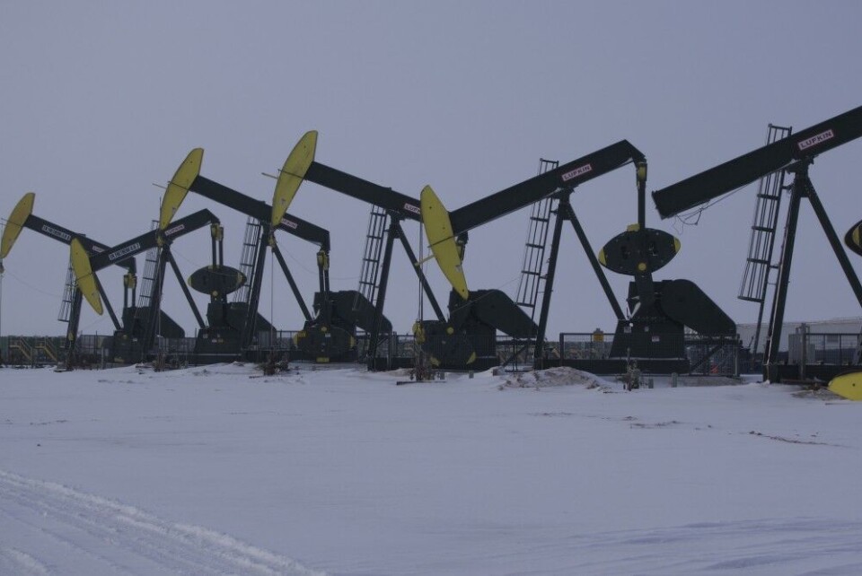 Нефтяные вышки в штате Северная Дакота (США). Фото: Томас Нильсен