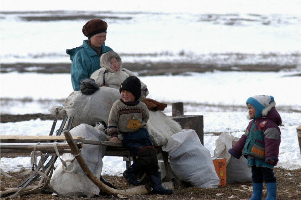 On the Russian tundra. Photo: Thomas Nilsen