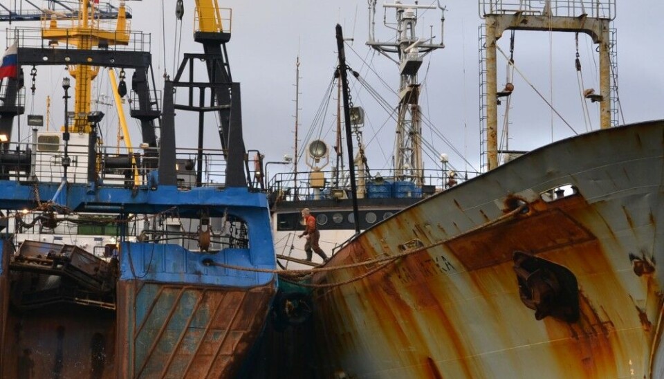 Trawlers damage major areas of Arctic seabed. Photo: Atle Staalesen