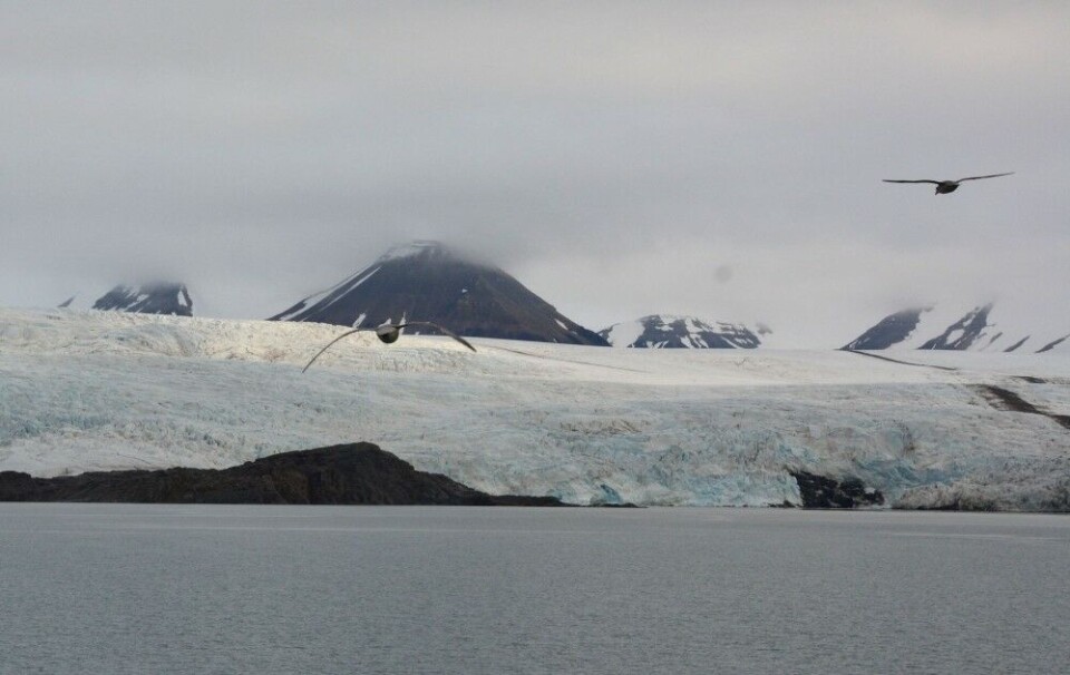 Arctic warming leads to melting of glaciers and sea-ice. Photo: Atle Staalesen