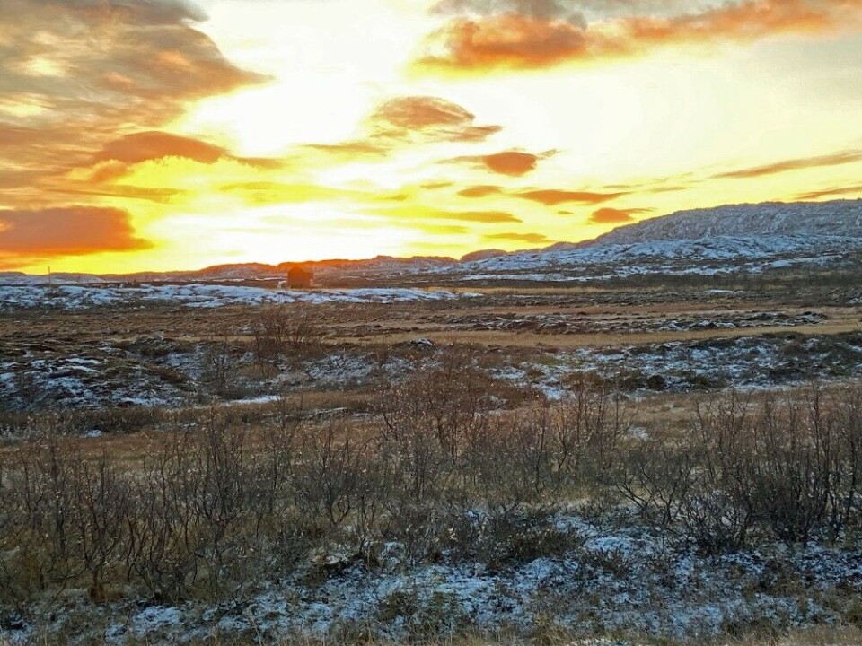Last sunset before the polar night in Varanger, northernmost Norway this weekend. Photo: Thomas Nilsen