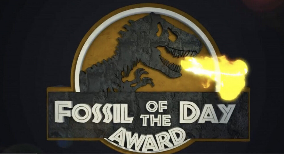 Norway gets 'Fossil of the Day' award for promoting own gas at COP26