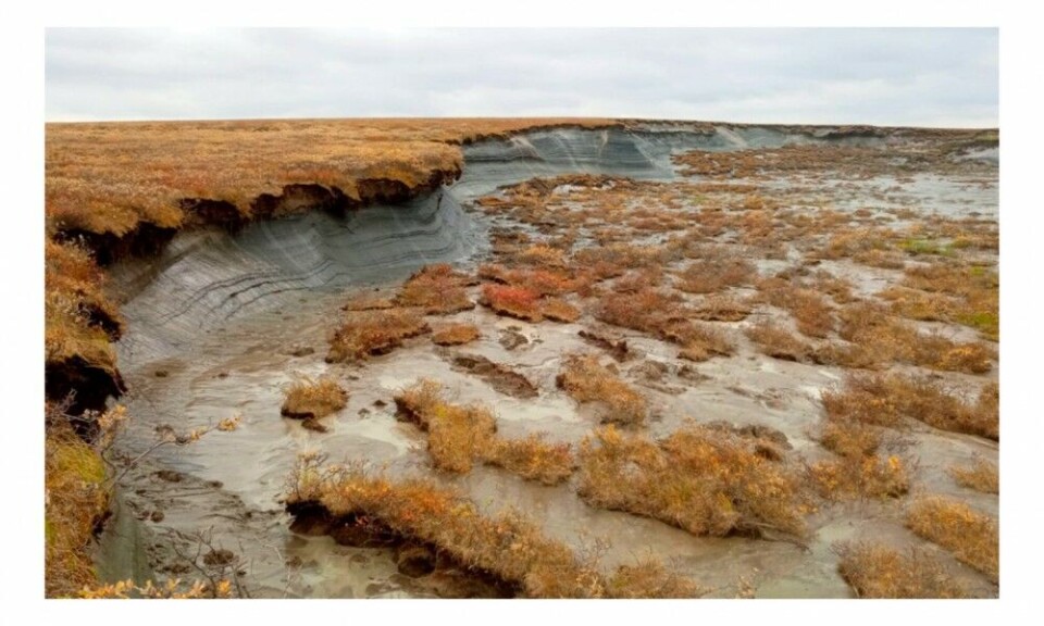 Melting permafrost in the Yamal-Nenets region. Photo: Yanao.ru