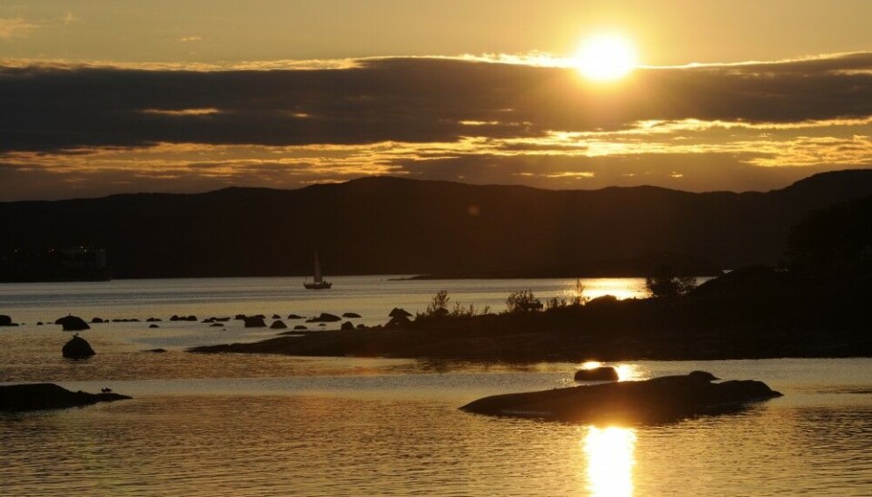 Midnight Sun. Bøkfjorden, Finnmark. Photo: Thomas Nilsen