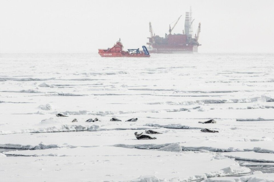 Gazprom Neft is among the most active Russian companies in the Arctic. It operates several far northern fields, among them the Prirazlomnaya project. Photo: Gazprom-Neft